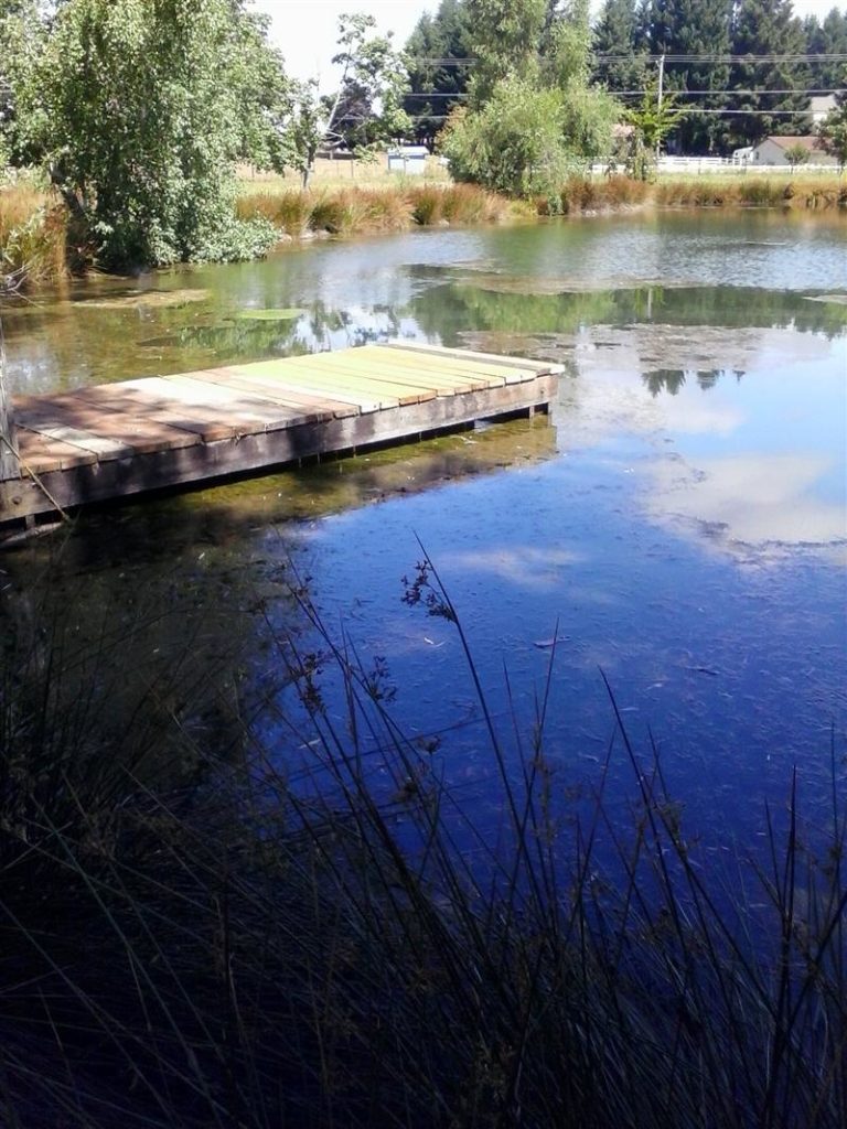 Pond not dropping much after irrigating