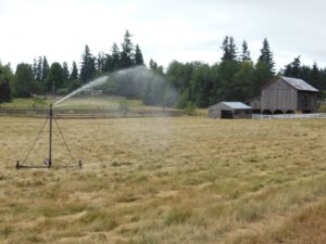 Farm-Center_field-Irrigating-19Jul2014-small