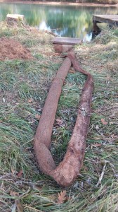 Willow roots pulled from main drain